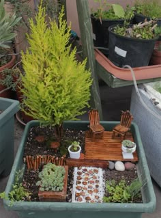 an assortment of potted plants and small trees