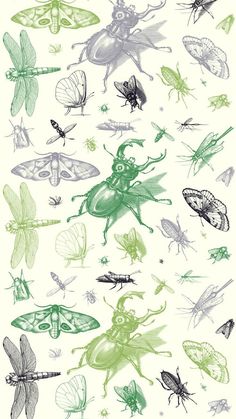 Wallpaper Backgrounds Frogs, Bug Aesthetic Wallpaper, Bug Wallpaper Aesthetic, Bug Wallpaper Iphone, Insect Background, Bug Background, Green Phone Background, Wallpaper Backgrounds Simple