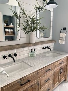 a bathroom with two sinks, mirrors and plants in vases on the counter top