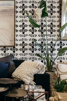 a living room with black and white wallpaper, large potted plant, wicker basket