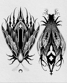 two black and white drawings of bugs with intricate designs on their wings, one is an insect