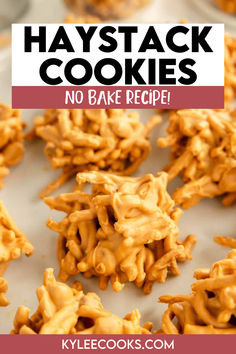 An image of No-Bake Haystack Cookies on a white table Haystack Recipe, Butterscotch Haystacks, Haystacks Recipe, Haystack Cookies, Christmas Baking Cookies, Cowboy Cookies, Christmas Baking Recipes, Roasted Walnuts, Favorite Cookie Recipe