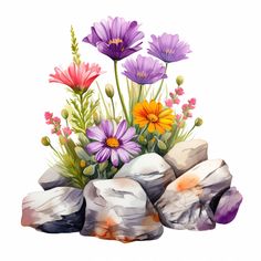 watercolor painting of flowers and rocks