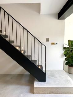 a black and white stair case next to a potted plant in a room with concrete flooring