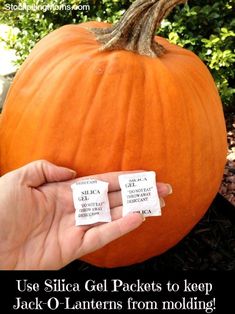 someone is holding two tags in front of a pumpkin that says use silica gel packets to keep jack o'lanterns from molding