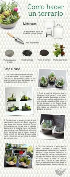 an info sheet describing the different types of plants and how they are used to grow them