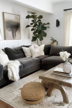 a living room filled with furniture and a large plant in the middle of the room