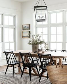 a dining room table with chairs and a potted plant