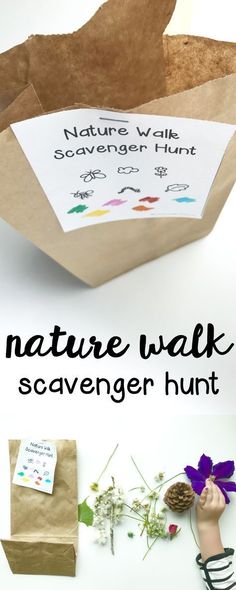 the nature walk scavenger hunt is an easy way to teach kids about nature