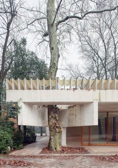 a large tree in front of a building with an overhang and stairs on the roof