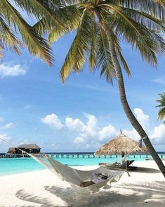 a hammock hanging between two palm trees on the beach