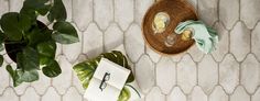 an overhead view of a potted plant next to a pair of scissors and napkins