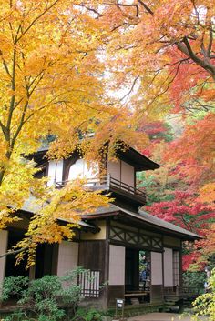 a small building surrounded by colorful trees in the fall