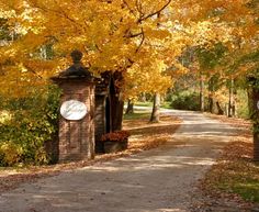 a sign that is on the side of a road near some trees with yellow leaves