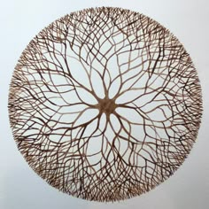 a circular sculpture made out of branches on a white wall