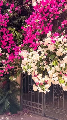 pink and white flowers are growing on the side of a building in front of a gate