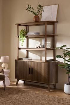 a living room with a book shelf and potted plants