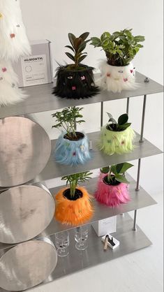 a shelf filled with pots and plants on top of metal shelves