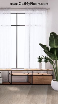 a living room with white walls and wooden flooring next to a plant in a pot