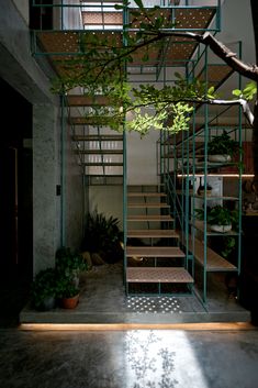 an indoor stair case with plants and potted plants on the bottom floor in front of it