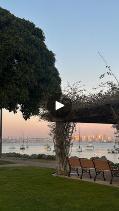 a park bench sitting under a tree next to the ocean with boats in the water