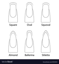 Set of nails shapes Royalty Free Vector Image VectorStock Printable Nail Art Templates, Nail Shape Chart, Square Oval Nails, Printable Nail Art, Nails Shapes, Nail Shapes Squoval, Shape Chart, Business Nails, Nail Courses