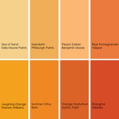 an orange color palette with different shades