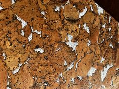 a close up view of some wood with white paint on it's surface and brown spots