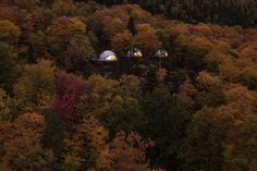 an aerial view of a forest with trees in the foreground and a dome on top