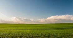 a green field with wind turbines in the distance