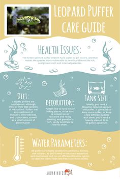 an info sheet describing the health benefits of plants and animals in the water, including algaes