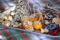 an assortment of fruit and nuts on a tray with pine cones, oranges, cranberries