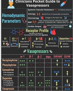 an info poster showing the different types of human body parts and their functions in each region