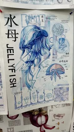 an advertisement for jellyfish is hanging on the wall