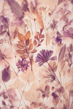 flowers and leaves are arranged on a wallpaper pattern in shades of purple, yellow and orange