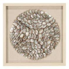 an image of shells in a wooden frame