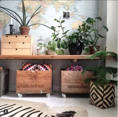 three wooden crates with plants in them sitting on a shelf next to a wall map