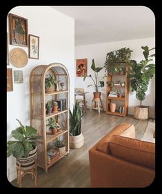 a living room filled with lots of plants next to a wall mounted book shelf on top of a hard wood floor