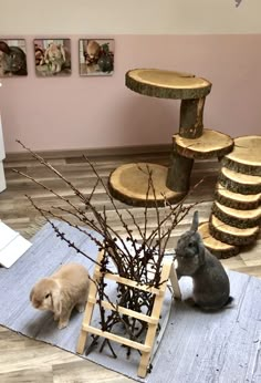 two small dogs are sitting on the floor in front of a tree stump with branches