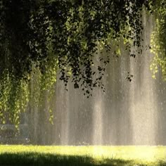 an open fire hydrant spewing water onto the ground