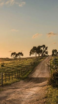 a dirt road in the middle of an open field