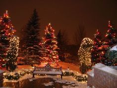 a park bench surrounded by christmas lights and trees