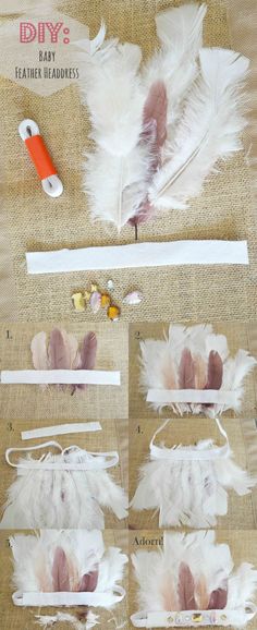 several feathers are laid out on the table