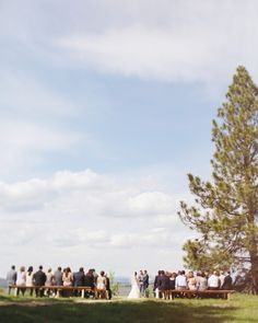 a group of people standing on top of a lush green field next to a tree