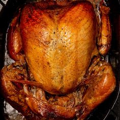 a roasted turkey in a roasting pan