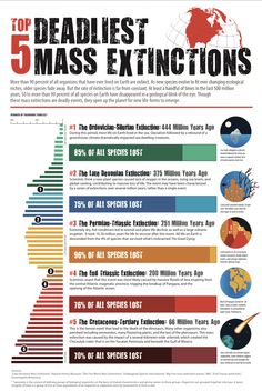 the top 5 deadest mass extings in the world infographical poster