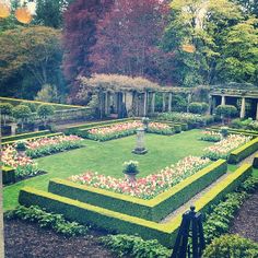 a formal garden is shown in the middle of an area with many flowers and trees