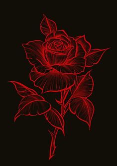 a drawing of a rose on a black background with red leaves and stems in the foreground