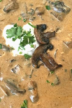 mushroom soup with sour cream and parsley on top