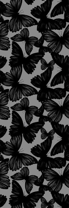 Carpet Ideas 2023, Free Wallpaper Backgrounds, Wallpaper Iphone Boho, Iphone Wallpaper Aesthetic, Butterfly Wallpaper Iphone, Carpet Ideas, Wallpaper Iphone Wallpaper, Iphone Wallpaper Photos